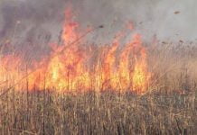 Пожежі в Павлограді.