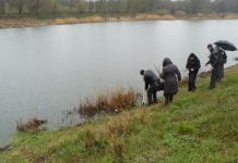 Набережна єдності