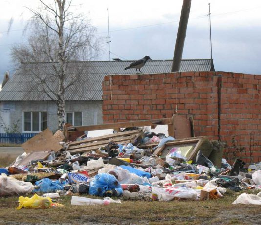 Як і хто очистить місто від сміття?