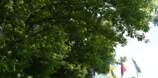 Життя на блокпостах