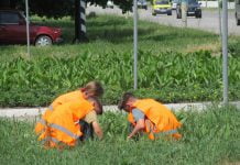 Працевлаштування підлітків