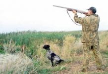 Стартує сезон полювання на пернату дичину