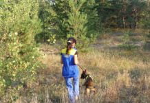 Cобаки готові прийти на допомогу