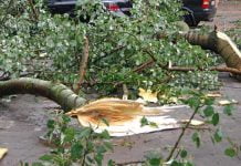 Дніпропетровщина ліквідовує наслідки негоди