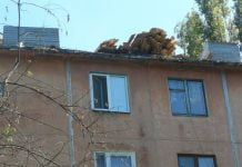 В Павлограді почали ремонтувати дахи