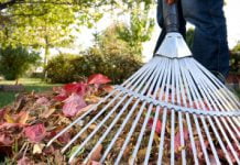 У суботу павлоградці візьмуться за граблі