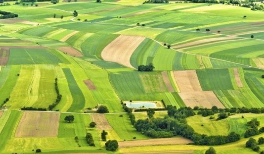 Воїни АТО житимуть на вулицях Затишній та Єдності