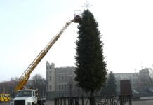 В Павлограді установили 15-метрову ялинку