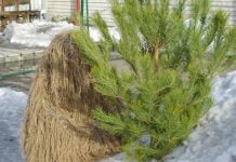 Павлоградскі жінки-волонтери плетуть сітки та шиють костюми для учасників АТО