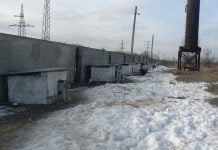 На притулок для тварин волонтери витратили 176,2 тис. грн