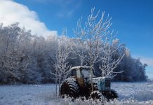В новорічну ніч в селі Кочережки зловмисник вкрав … трактор