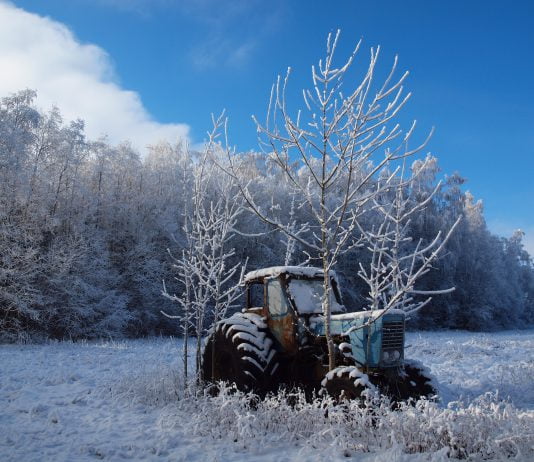 В новорічну ніч в селі Кочережки зловмисник вкрав … трактор