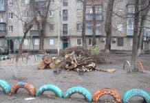 Павлоградську школу врятували від аварійного дерева (ФОТО)