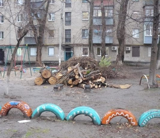 Павлоградську школу врятували від аварійного дерева (ФОТО)