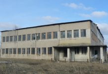 Притулок для тварин отримає 200 тис. грн з міського бюджету