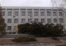 В Павлограді буревій зламав 26 дерев