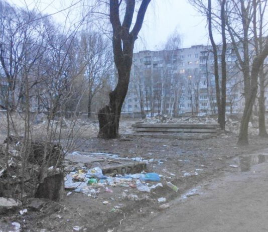 Жителі мікрорайону «Полігон» звертаються до міської влади з проханням позбавити район від сміття і бездомних собак