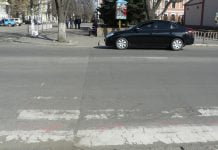 У Павлограді «зебри» побачимо у квітні