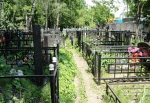 В Павлограде ликвидирована преступная группа, которая требовала взятку за место на кладбище