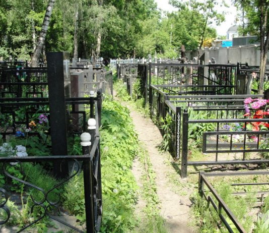 В Павлограде ликвидирована преступная группа, которая требовала взятку за место на кладбище