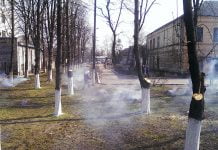 Павлоградські комунальники серед білого дня палять листя