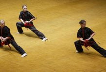 Павлоградські ушуїсти привезли повний комплект медалей