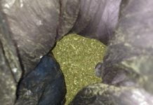 Тернівчанин зберігав у квартирі 2 кг марихуани