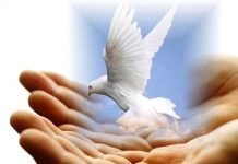 Підполковнику міліції у відставці потрібна допомога