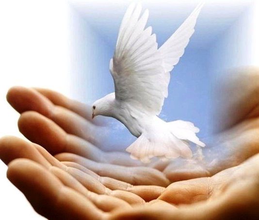 Біженцям із Донеччини потрібна допомога