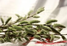 Павлоградців запрошують провести Вербну неділю з користю