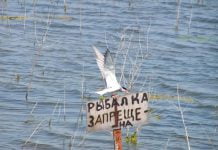 На Дніпропетровщині до червня обмежили місця для риболовлі
