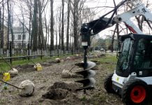 У парку ім. Т. Шевченка висадили липи (ФОТО)