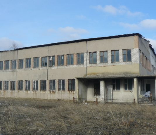 Із території, яку орендує притулок для тварин, невідомі вивозять пісок та будматеріали