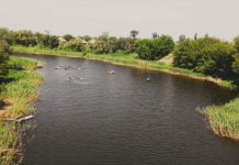 Купаться в Волчьей до сих пор нельзя