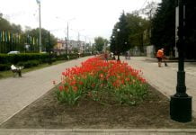 Комунальники висадили 3 тис. нових квітів та відремонтували туалет