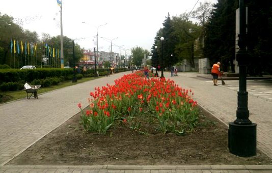Комунальники висадили 3 тис. нових квітів та відремонтували туалет