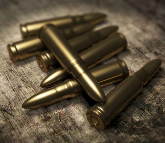 Павлоградець знайшов у лісосмузі боєприпаси