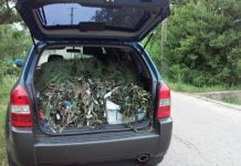 Павлоградські ліцеїсти передали в зону АТО маскувальну сітку