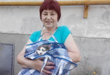 У Павлограді безкоштовно вакцинували хатніх улюбленців від сказу