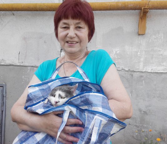 У Павлограді безкоштовно вакцинували хатніх улюбленців від сказу