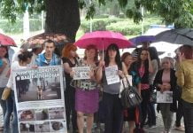 Захисники тварин пікетували міськвиконком (ВІДЕО)