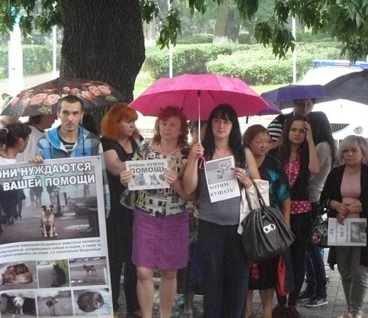 Захисники тварин пікетували міськвиконком (ВІДЕО)