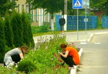 У Павлограді влітку планують працевлаштувати 55 дітей