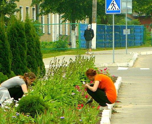 У Павлограді влітку планують працевлаштувати 55 дітей