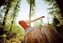 В Юрьевском районе выявили незаконную вырубку лесов и добычу подземных вод