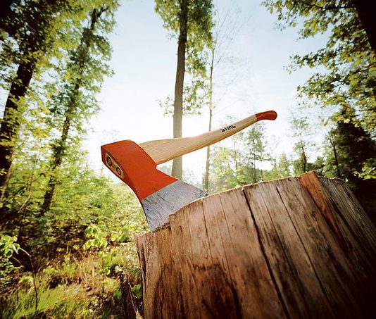 В Юрьевском районе выявили незаконную вырубку лесов и добычу подземных вод