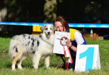 У Павлограді пройшли Всеукраїнські змагання з аджиліті (ФОТО)