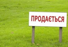 12 земельных участков в Павлограде выставят на продажу