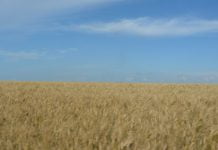 Невеличка мандрівка Павлоградським районом (ФОТОРЕПОРТАЖ)