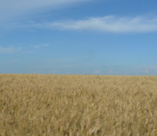 Невеличка мандрівка Павлоградським районом (ФОТОРЕПОРТАЖ)